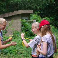 Klassenfahrt Natur entdecken Freude schenken